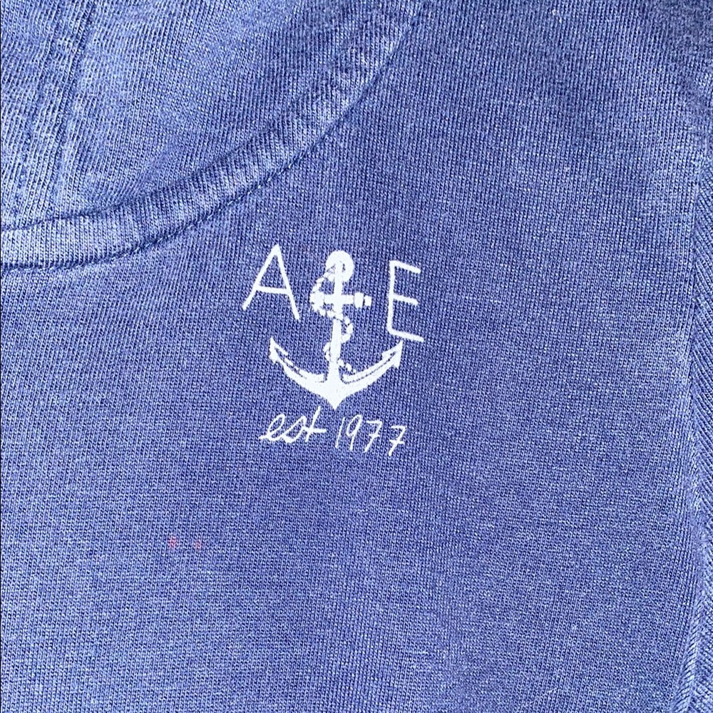 American Eagle Outfitters Blue Hoodie Jacket - Picture 2 of 7